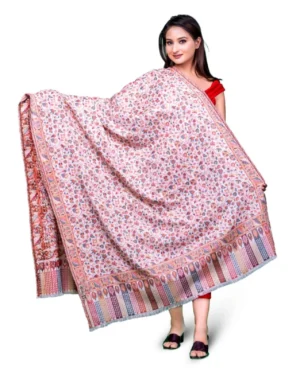 Light Pink Wool Pashmina Shawl with Single Kani Work