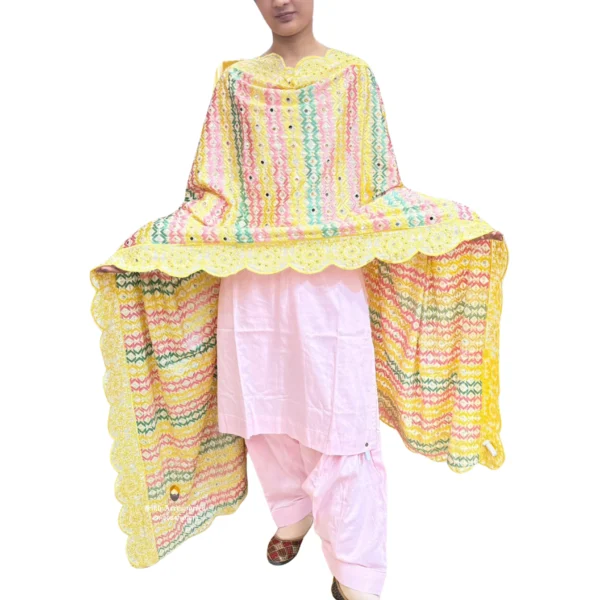 Plain Pink Suit With Pale Yellow Phulkari Dupatta