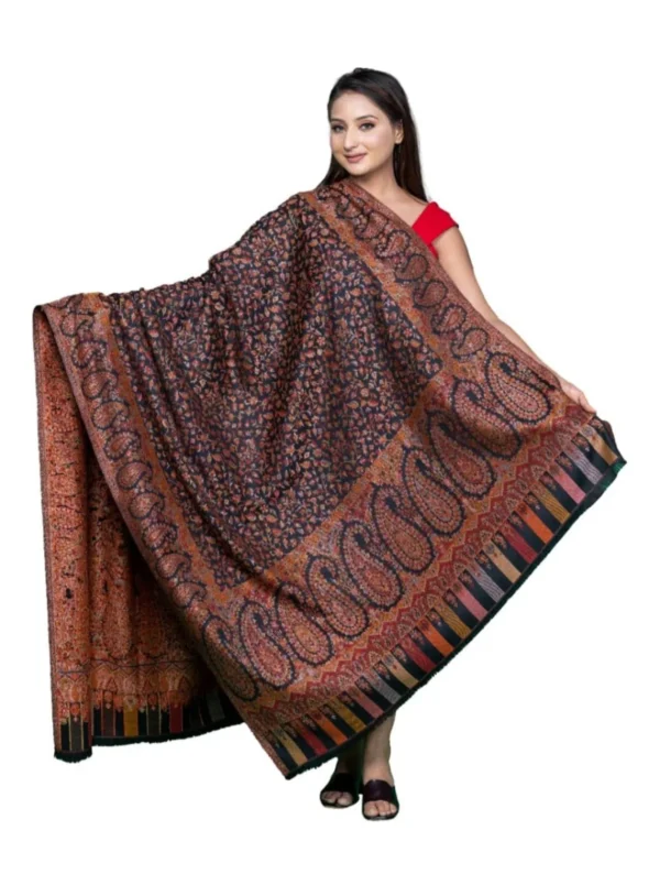 Umber Wool Pashmina Shawl with Single Kani Work