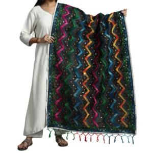 Black Ranihati Chanderi Silk Punjabi Phulkari Dupatta