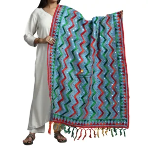 Blue Ranihati Chanderi Silk Punjabi Phulkari Dupatta