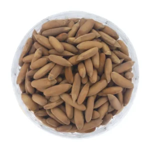 Premium Pine Nuts With Shell