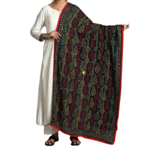 Black Ranihati Georgette Hand Embroidered Phulkari Dupatta