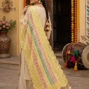 Lemon Pastel – Heavy Work Wedding Phulkari